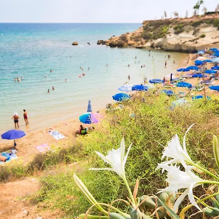 Jules * Paralimni